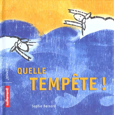 Livre Quelle tempête ! éditions Autrement